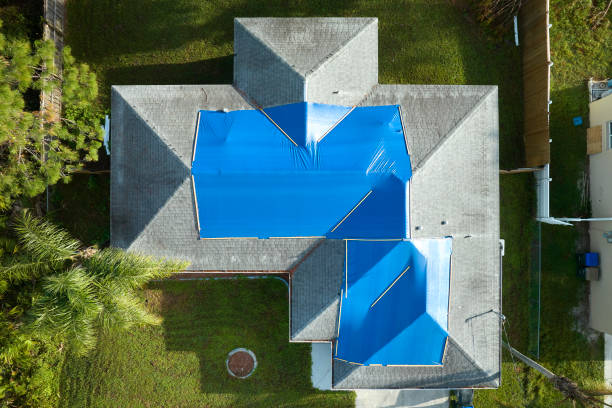 Best Metal Roofing Installation  in Rehobeth, AL